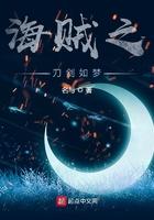 海贼之拔刀剑