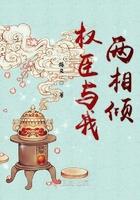 权臣与权妃gl