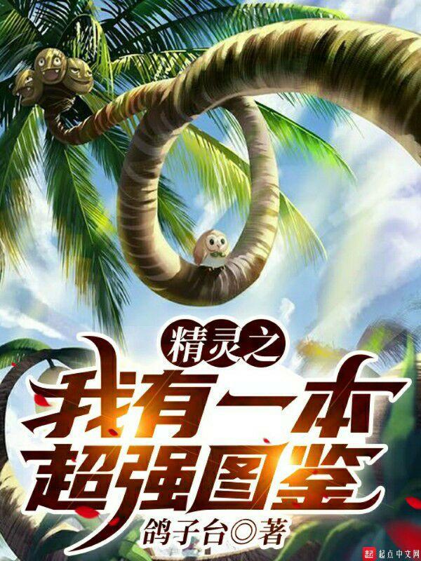 精灵之我没开挂