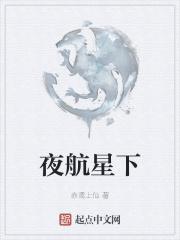 夜航星 b站