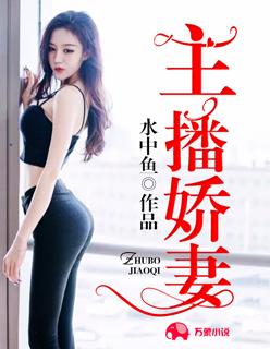 主播娇妻妻子的秘密