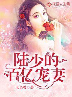 陆少的千亿盛宠免费阅读