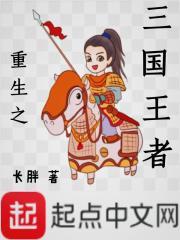 重生三国之王者天下