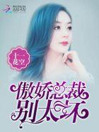 傲娇总裁别缠我上官御