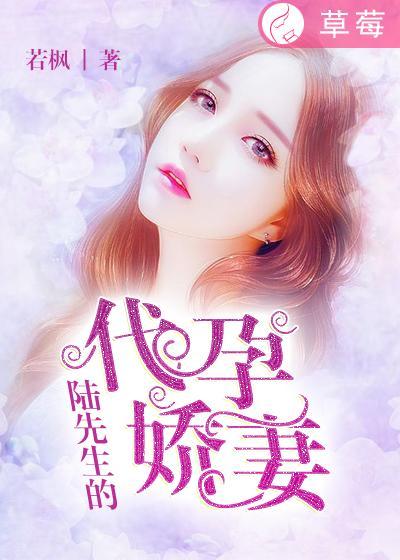 陆先生宠妻