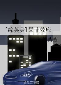 综英美墨菲定律
