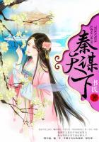 秦天下正规吗
