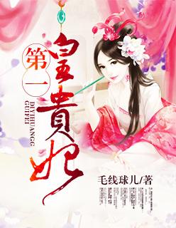 第一皇妃讲的什么故事