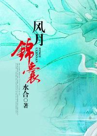 风月锦囊在哪个平台演