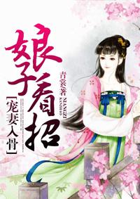 宠妻狂魔之娘子别跑