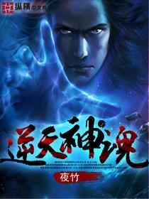 逆天神魂全集