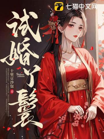 试婚丫鬟结局