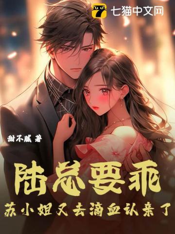 陆总的第一宠妻苏小喜