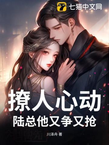 宠婚撩人陆总傲娇