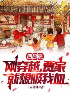 穿越四合院之贾爸