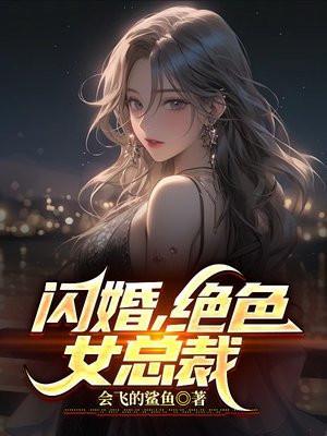 闪婚高冷美女总裁百度百科