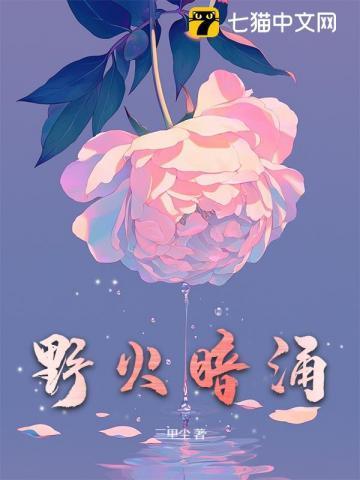 野火dap