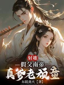 83射雕英雄传之南帝北丐