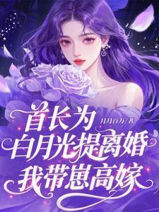 首长宠妻白璟漠