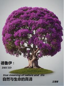德鲁伊是什么