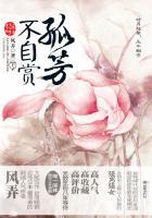 孤芳不自赏10