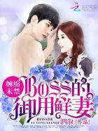 婚试婚爱视频