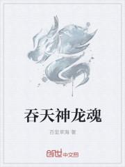 神龙吞天决