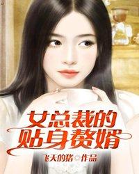 叶北贺星辰免费阅读+
