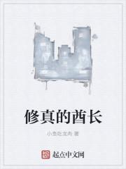 爷夫人又怀孕了正版