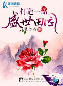 龙飞主角