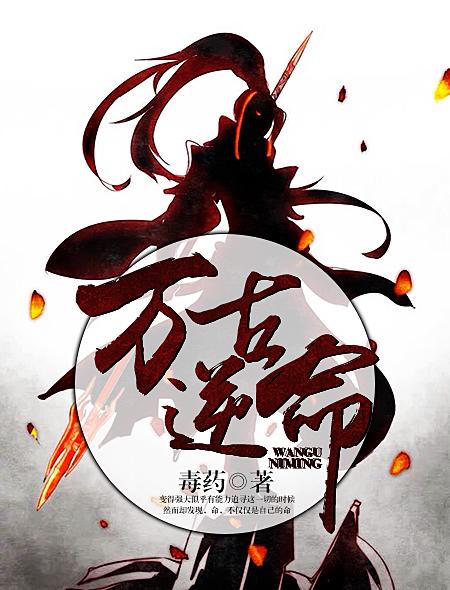 极品龙婿免费阅读