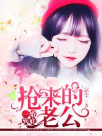 一婚到底亿万老公宠妻无度全文