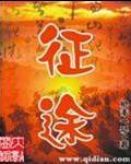 征途的意思和含义