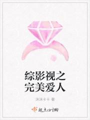 综影视之完美爱人起点中文网