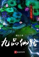九品仙路免费阅读
