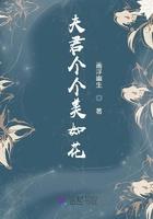 夫君个个美如花txt