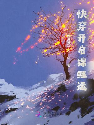 锦鲤的开挂人生