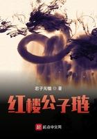 红楼公子林砚txt