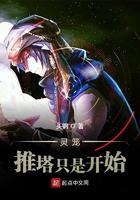 灵笼推塔众筹