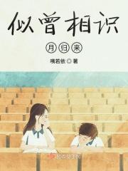 似曾相识月归来白诀最新章节更新内容