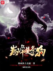 巅峰是什么东西