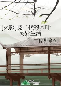 火影忍者晓攻打木叶村是多少集?