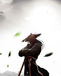 洪荒：从武道投影开始